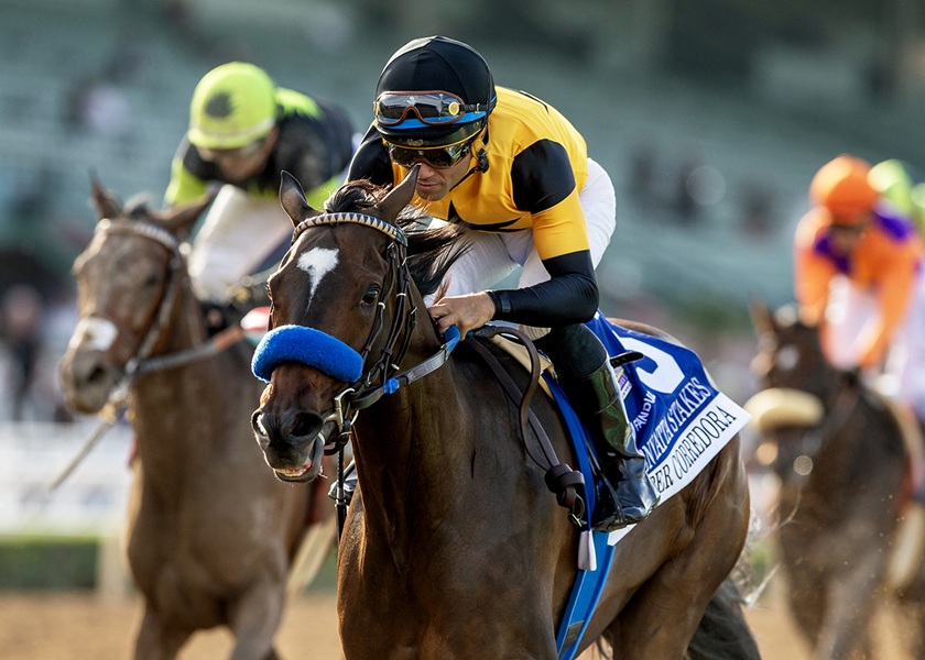 Gun Runner’s champion Super Corredora triumphant in return