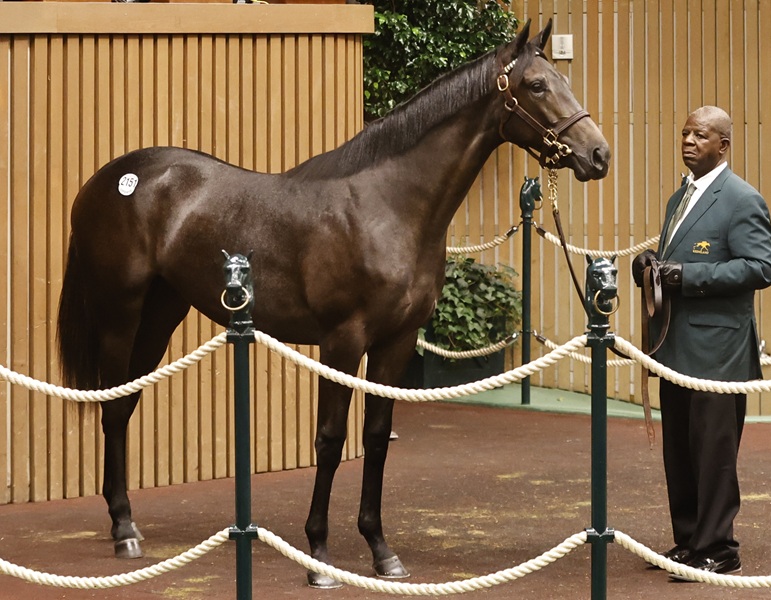 Volatile has top filly of Keeneland Book 4 at $525,000