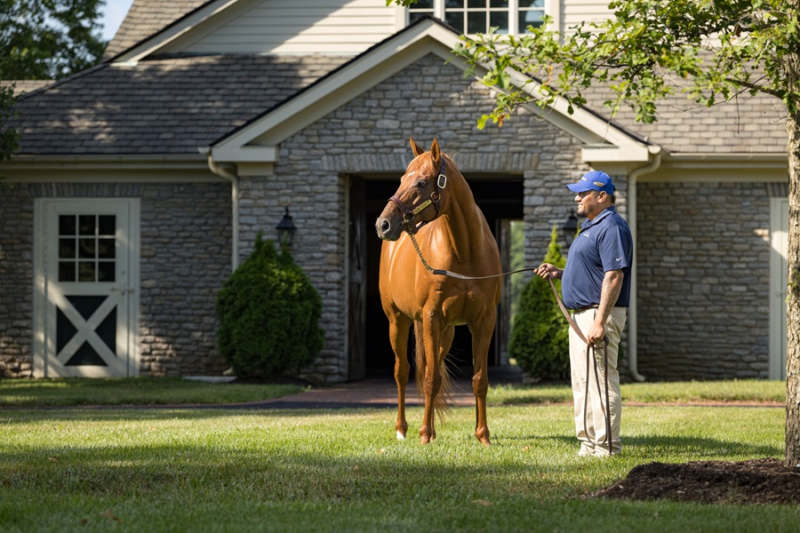Three Chimneys to host open house Nov. 2-8